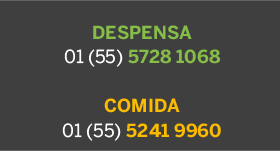 Reporte Robo